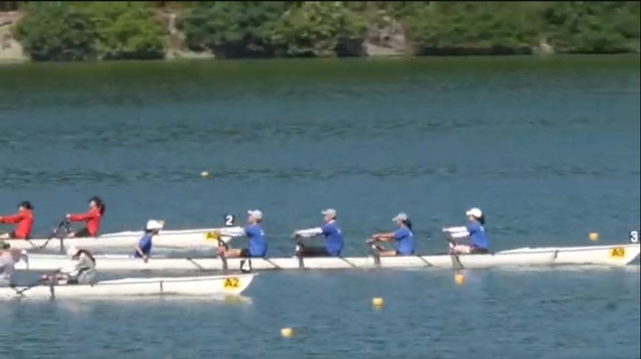 세계 명문대학 울산에 모인다…조정 페스티벌 개막