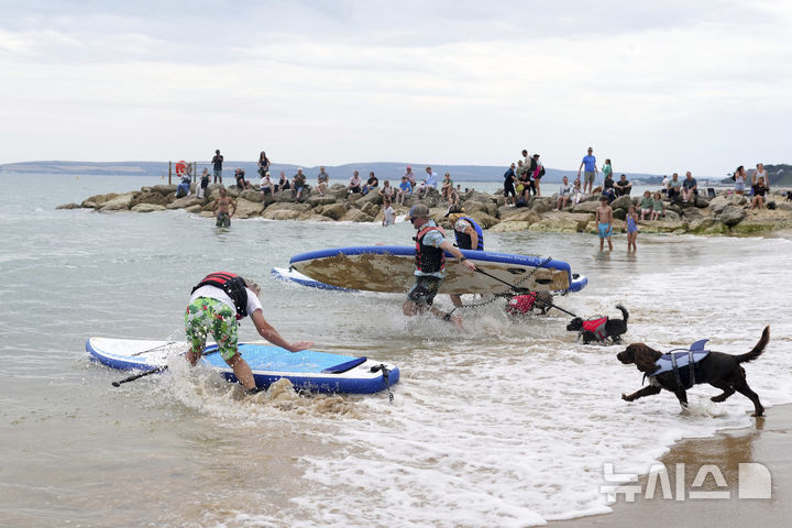 [풀=AP/뉴시스] 27일(현지 시간) 영국 도싯주 풀 인근에서 열린 '2025 도그 마스터스 페스티벌' 패들보드 대회에 참가한 참가자들이 바다로 뛰어들고 있다. 이 대회는 '사람과 반려견 패들보드', '반려견 단독 서핑', '기네스 기록 도전' 등의 부문으로 나뉘어 열린다. 2025.07.28.