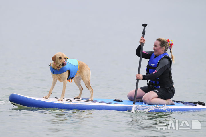 [풀=AP/뉴시스] 27일(현지 시간) 영국 도싯주 풀 인근에서 열린 '2025 도그 마스터스 페스티벌' 패들보드 대회에 한 여성과 반려견이 참가하고 있다. 이 대회는 '사람과 반려견 패들보드', '반려견 단독 서핑', '기네스 기록 도전' 등의 부문으로 나뉘어 열린다. 2025.07.28.