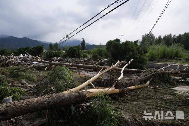 [미원=AP/뉴시스] 28일(현지 시간) 중국 베이징 외곽 미원구 타이시툰에 내린 폭우로 나무가 부러져 있다. 2025.07.29.
