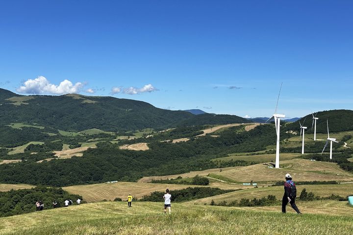 [서울=뉴시스] 삼양라운드힐의 제1회 평창 오리엔티어링 페스티벌. (사진=삼양라운드스퀘어 제공) *재판매 및 DB 금지