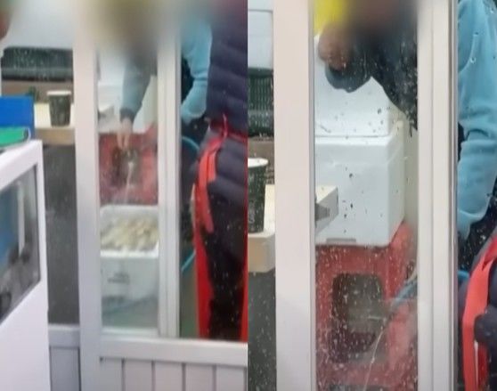 [서울=뉴시스] 서울 종로의 한 시장 내 해산물 가게에서 상인이 바닥에 양치물을 뱉고 물 호스로 입을 헹구는 모습이 포착돼 위생 논란이 불거졌다. (사진=JTBC '사건반장' 갈무리) 2025.07.28 *재판매 및 DB 금지