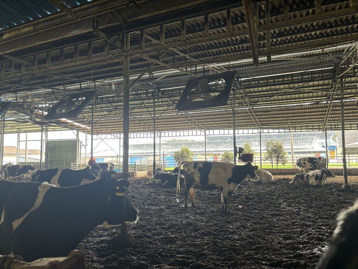 [세종=뉴시스] 개방형축사 송풍팬. (사진=농촌진흥청 제공) *재판매 및 DB 금지