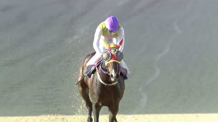 [부산=뉴시스] 2024년 4월27일 경주마 '에펠탑'이 경주로를 달리는 모습 (사진=한국마사회 부산경남본부 제공) 2024.04.27. photo@newsis.com *재판매 및 DB 금지