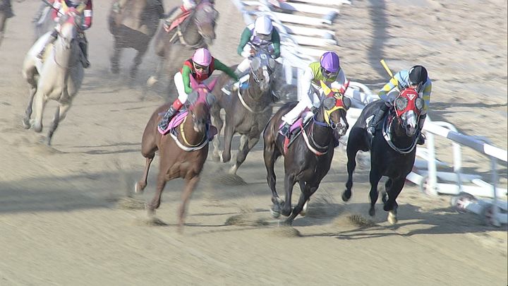 [부산=뉴시스] 2024년 4월27일 경주마 '에펠탑'이 경주로를 달리는 모습 (사진=한국마사회 부산경남본부 제공) 2024.04.27. photo@newsis.com *재판매 및 DB 금지