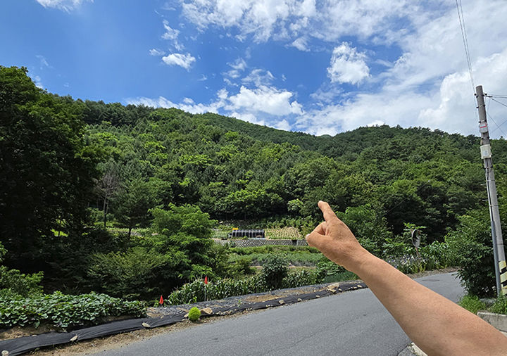 지난 24일 한 주민이 태백시 문곡소도동 소롯골경로당 인근에서 목 없는 시신이 발견된 장소를 가르키고 있다.(사진=뉴시스) *재판매 및 DB 금지