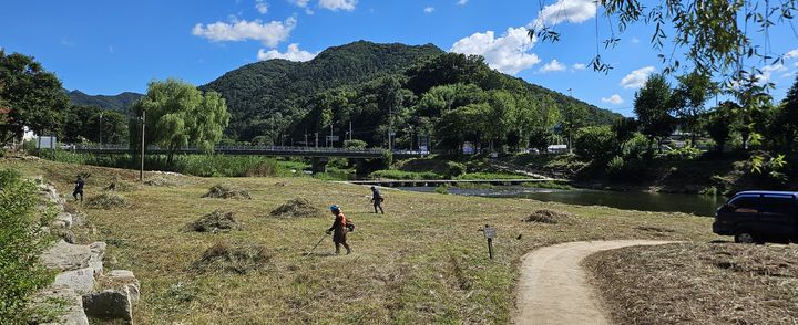 [전주=뉴시스] 지난 27일 작업자들이 전주천 상류 부근의 물새와 물억새에 대한 제초 작업을 진행하고 있다. (사진=전북환경운동연합 제공) 2025.07.28. photo@newsis.com *재판매 및 DB 금지