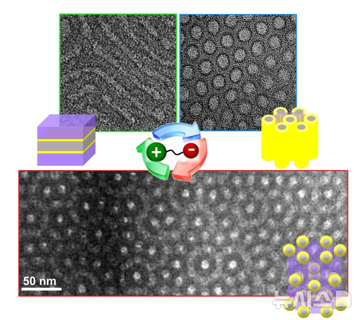 [포항=뉴시스] 송종욱 기자 = 포스텍 화학과 박문정 교수 연구팀이 전복 껍데기에서 영감을 받아 고무처럼 유연하면서 강철처럼 단단하고, 전기까지 잘 저장하는 소재를 개발했다. 사진은 양쪽성 이온 분자 구조 및 혼합 비율에 따라 나타나는 초격자 층상, 실린더 구조 및 프랭크-카스퍼(Frank-Kasper) 상의 전자 현미경 이미지. (사진=포스텍 제공) 2025.07.28. photo@newsis.com