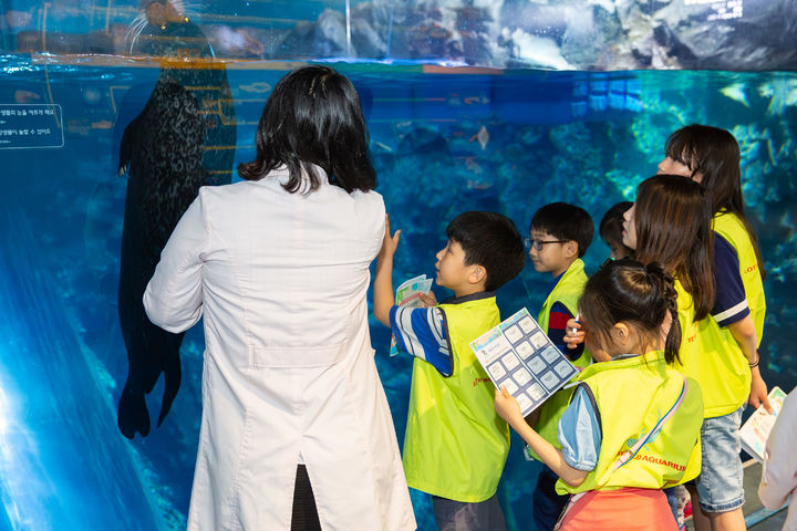 롯데월드 아쿠아리움 '아쿠아 패밀리 캠프' *재판매 및 DB 금지