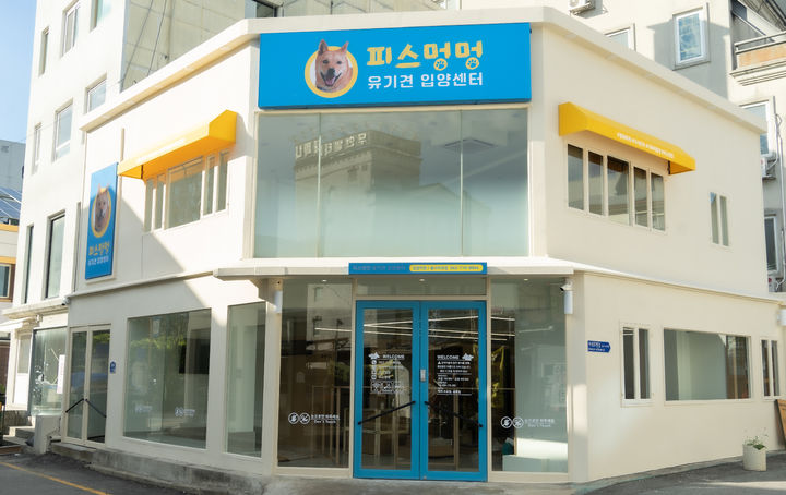 [광주=뉴시스] 광주 동구는 30일 동구 불로동에 고향사랑기부제 성금을 통해 조성하는 유기견 입양센터를 개소한다고 29일 밝혔다. (사진=광주 동구 제공) 2025.07.29. photo@newsis.com *재판매 및 DB 금지