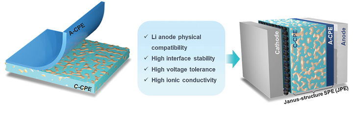 [서울=뉴시스] 야누스 구조 기반 복합 폴리머 고체 전해질의 개략도. (사진=동국대 제공) 2025.07.29. photo@newsis.com *재판매 및 DB 금지