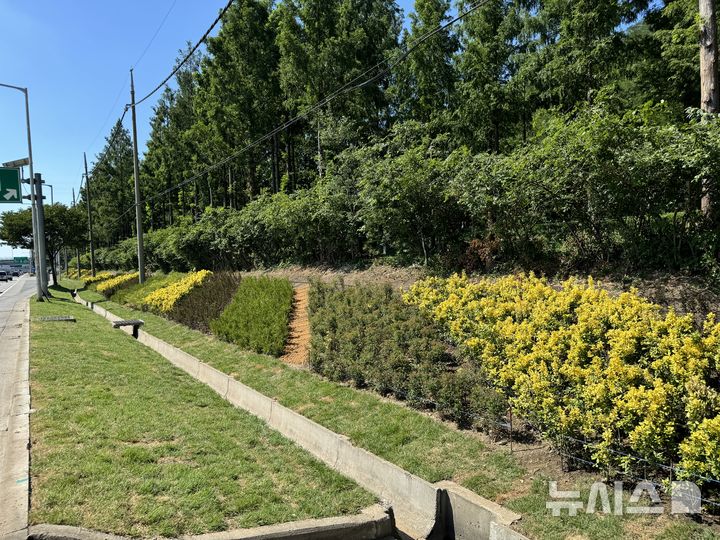 [서울=뉴시스]강변북로.