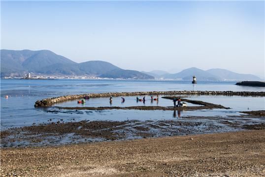 [통영=뉴시스] 신정철 기자= 통영시 해양보호구역 관리센터는 해양보호구역인 선촌마을의 아름다움과 생태적 가치를 널리 알리기 위해 2024년에 이어 2025년 선촌마을 해양보호구역 사진공모전 ‘잘피어라 게나 고둥이나'를 개최한다고 29일 밝혔다.사진은 지난해 대상 수상작.(사진=.통영시 해양보호구역 관리센터 제공).2025.07.29. photo@newsis.com *재판매 및 DB 금지