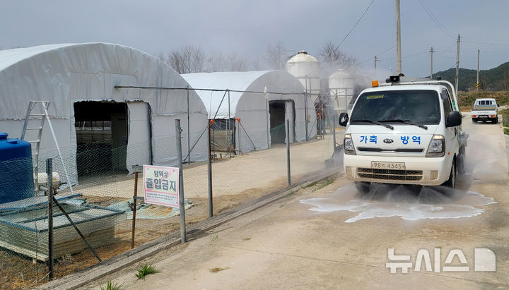 [광주=뉴시스] 광주보건환경연구원 가축 방역. (사진=광주시 제공) 2025.07.29. photo@newsis.com *재판매 및 DB 금지