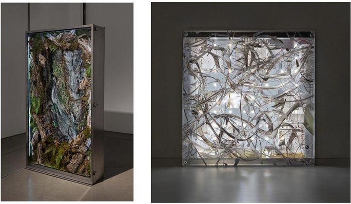 그림자가 드리우지 않는 깊은 곳, 2023, Single-channel video, stainless steel structure, polycarbonate, preserved moss, branches, artificial plants, 65" TV, *재판매 및 DB 금지