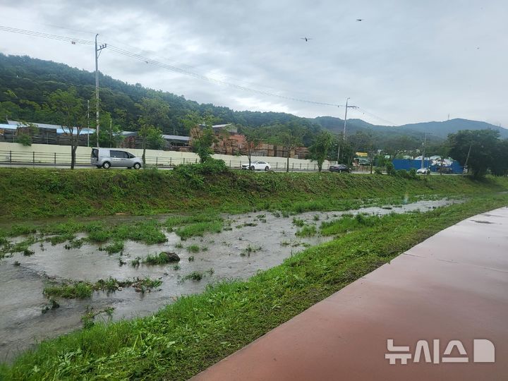[용인=뉴시스]용인시가 신갈천과 대대천 일대에서 생태교란식물을 제거했다.(사진=용인시 제공) 2025.07.30.photo@newsis.com *재판매 및 DB금지