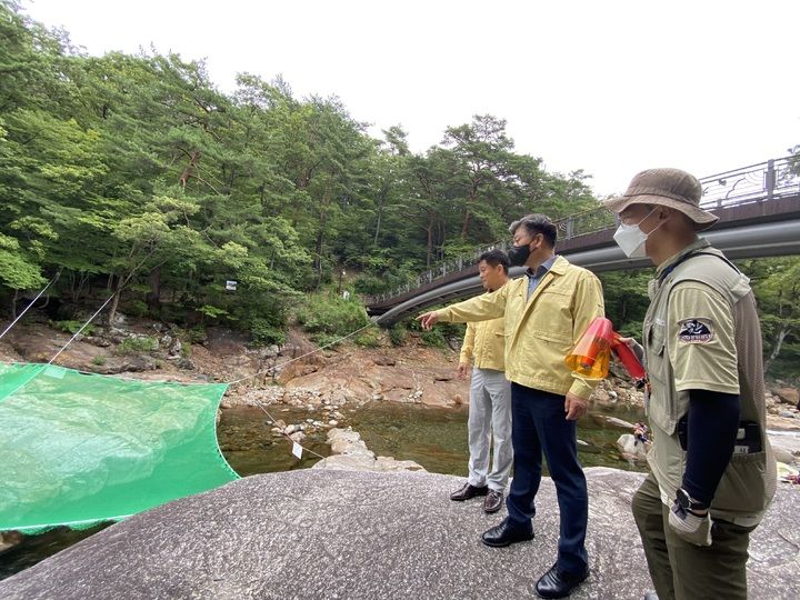 [함양=뉴시스] 지리산국립공원, 여름철 계곡 물놀이 안전관리 현장 점검 (사진=뉴시스 DB).photo@newsis.com *재판매 및 DB 금지