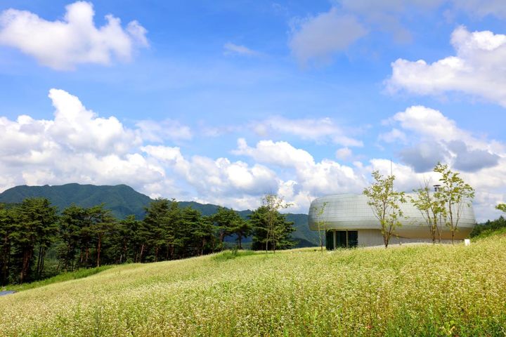 [대전=뉴시스] 국립백두대간수목원에 조성된 백두대간 글로벌 시드볼트 전경.(사진=산림청 제공) *재판매 및 DB 금지