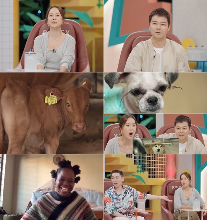 [서울=뉴시스] 오는 31일 오후 9시 방송하는 SBS TV 프로그램 '와! 진짜? 세상에 이런일이'에서는 MC 전현무·백지영·김호영·수빈 네 사람과 함께 '종합선물세트 특집'이 펼쳐진다. (사진=SBS '와! 진짜? 세상에 이런일이' 제공) 2025.07.30. photo@newsis.com *재판매 및 DB 금지