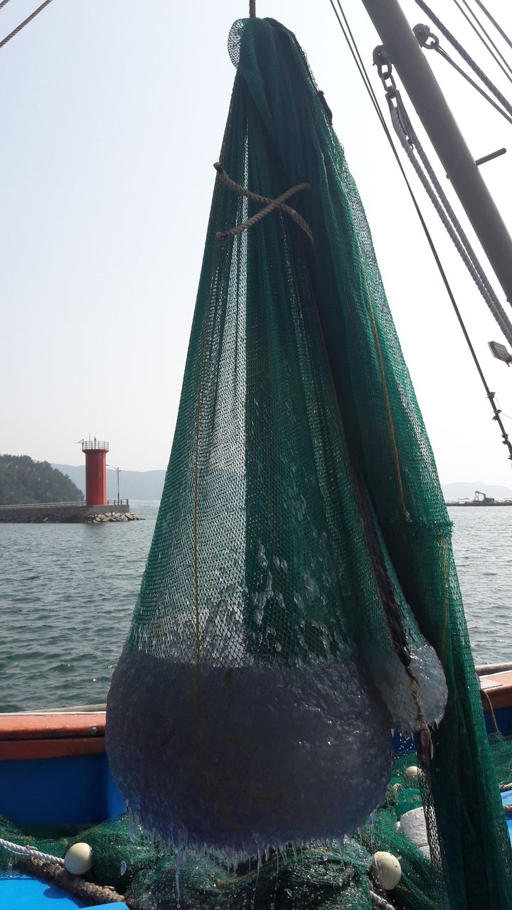 경남 거제, 고성 등 연안에 대량 출현 해파리 제거 작업.(사진=경남도 제공) 2025.07.30. *재판매 및 DB 금지