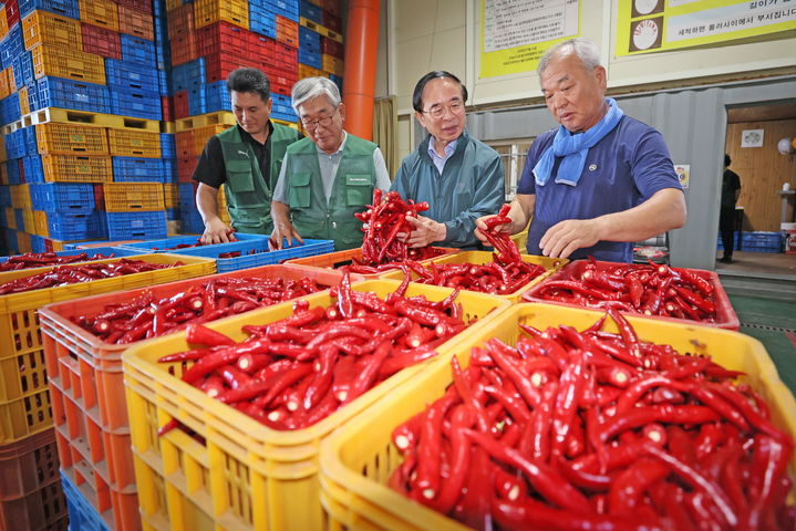 임실 홍고추 *재판매 및 DB 금지