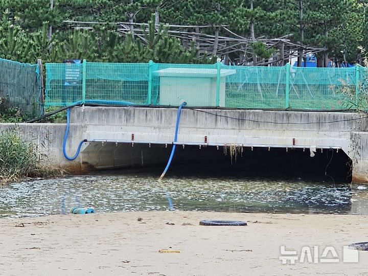 [포항=뉴시스] 송종욱 기자 = 포항환경운동연합은 30일 '포항시는 무능하고 안일한 환경국을 폐지하라'는 성명서를 발표했다. 사진은 지난해 11월1일 포항시 북구 흥해읍 우목리 죽천해수욕장의 인근 해역으로 흘러드는 하천에서 대규모 거품이 발생하고 있다. 2025.07.30. sjw@newsis.com 