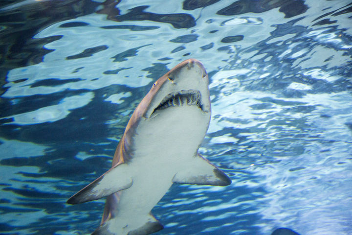 기사의 이해를 돕기 위한 이미지. (출처=유토이미지) *재판매 및 DB 금지