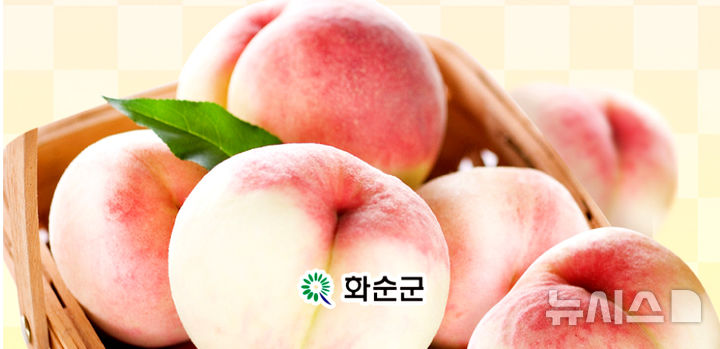 [무안=뉴시스] 전남 화순군 능주면 특산품 '복숭아'. (사진=화순군 제공) 2025.07.30. photo@newsis.com *재판매 및 DB 금지