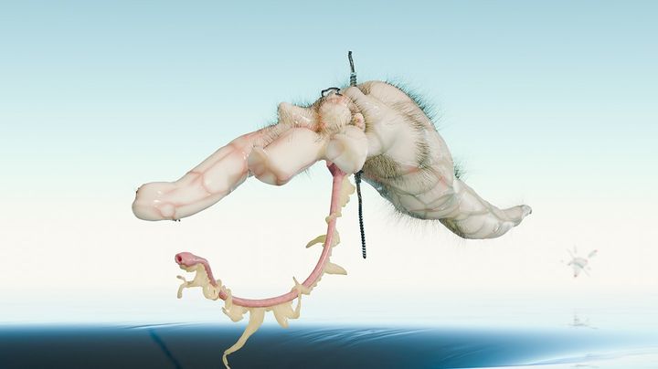 추수, 〈살의 여덟 정령간〉, 2025, 영상, 컬러, 사운드. 13분 6초. (1) *재판매 및 DB 금지