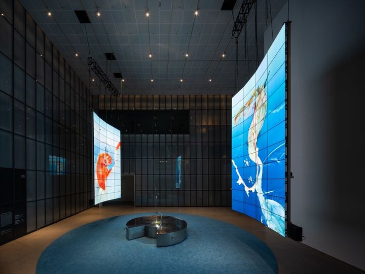 MMCA×LG OLED 시리즈 2025. 추수 '아가몬 대백과: 외부 유출본' 개최 *재판매 및 DB 금지