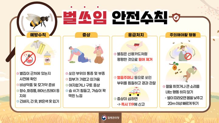 벌 쏘임 사고 안전수칙. (사진=뉴시스 DB) *재판매 및 DB 금지