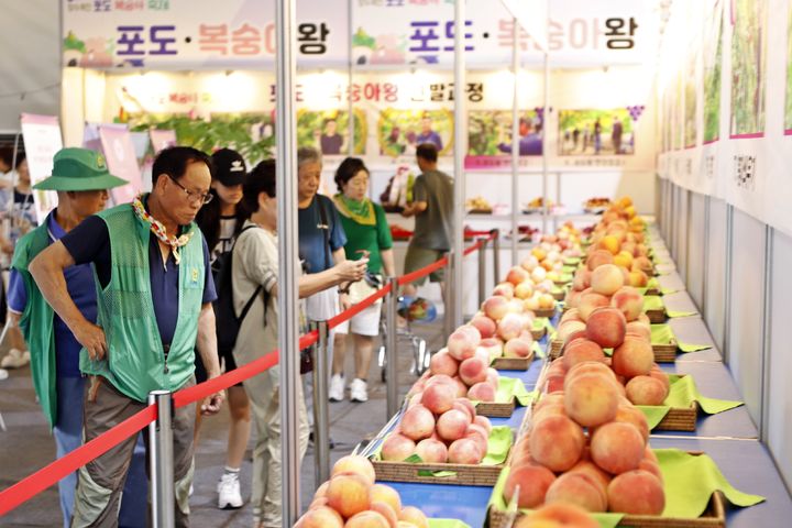 2024향수옥천 포도복숭아축제(사진=옥천군 제공) *재판매 및 DB 금지