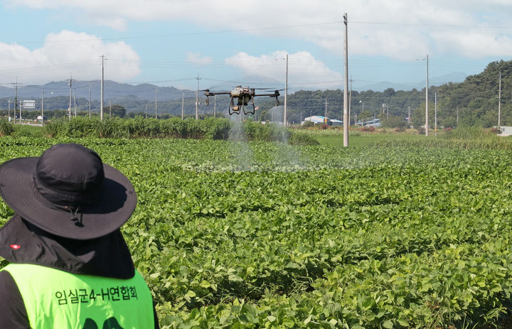 [임실=뉴시스] 전북 임실군 드론방제. (사진=뉴시스 DB). photo@newsis.com *재판매 및 DB 금지