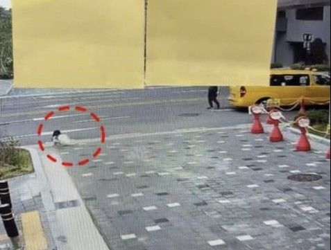 [서울=뉴시스] 운전자는 차량에서 내려 A양의 상태를 살피는 듯하더니 별다른 조치를 취하지 않고 1분도 채 되지 않아 현장을 떠났다. (사진=인스타그램 갈무리) 2025.07.31 *재판매 및 DB 금지