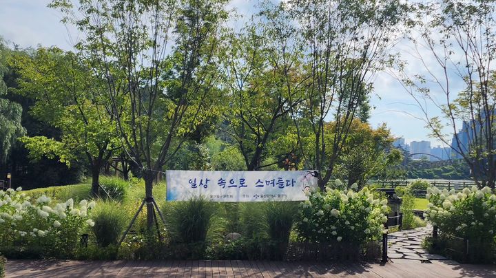 [울산=뉴시스] 구미현 기자 =울산중구문학회는 연꽃생태탐방지로 새롭게 떠오른 태화연 오토캠핑장 일원에 총 42점의 시화작품을 설치했다고 31일 밝혔다. (사진=울산중구문학회 제공) photo@newsis.com *재판매 및 DB 금지