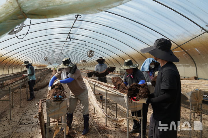 [울진=뉴시스] 안병철 기자 = 경북 울진군의회 의원과 의회 직원 등 20여명이 지난 30일 경남 산청군 신안면을 찾아 오전 9시부터 오후 3시까지 복구 작업을 하고 있다.(사진=울진군의회 제공) 2025.07.31. photo@newsis.com