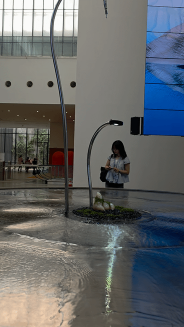 물을 먹고 자라는 '아가몬'. 작가가 피어싱을 해줬다. *재판매 및 DB 금지