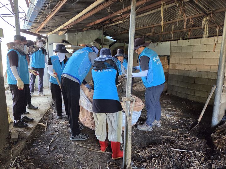 [창원=뉴시스]농어촌公 경남본부, 도내 공공기관과 의령군 대의면 침수 피해지역 합동 지원.(사진=농어촌공사 경남 제공) 2025.07.31.photo@newsis.com *재판매 및 DB 금지
