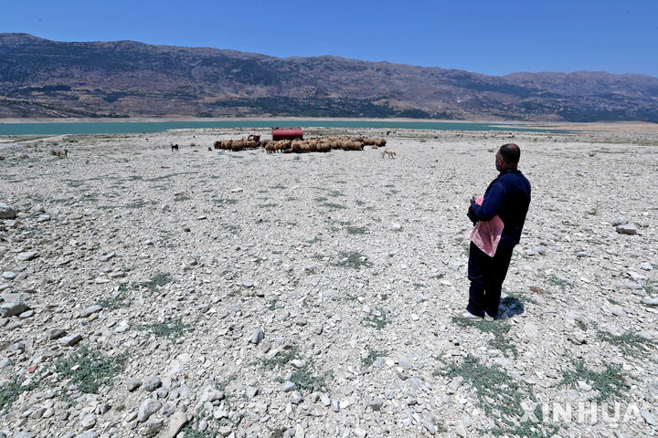 [카라운 호수( 레바논)=AP/뉴시스] 레바논 서부 베카 지역에 있는 최대 인공호수 카라운호의 모래 바닥이 드러나 2025년 여름 양떼들이 물을 먹기 위해 그 위에 모여있다.&nbsp; 가뭄과 폭염이 3년간 계속된 카라운 호는 최근 겨울비로 입수량이 늘면서 회복의 조짐을 보이기 시작했다고 레바논 정부는 밝혔다. 2028. 01. 28. 