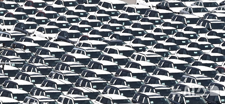 [평택=뉴시스] 김종택 기자 = 한미 관세협상이 타결된 31일 경기 평택시 포승읍 평택항 자동차 전용부두에 선적을 기다리는 수출용 차량이 세워져 있다. 2025.07.31. jtk@newsis.com