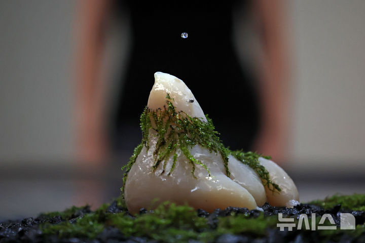 [서울=뉴시스] 박진희 기자 = 국립현대미술관은 LG전자와 파트너십을 맺고, 올해 처음 선보이는 MMCA·LG OLED 시리즈 2025-추수 '아가몬 대백과: 외부 유출본' 기자간담회를 31일 서울 종로구 국립현대미술관 서울에서 갖고 작품을 선보이고 있다. 추수(TZUSOO) 작가는 디지털 네이티브 세대로서 사이버 생태계와 현실이 교차하는 새로운 정체성을 탐구하며, 영상, 설치, 조각, 회화 등 다양한 매체를 넘나들며 작업한다. 2025.07.31. pak7130@newsis.com