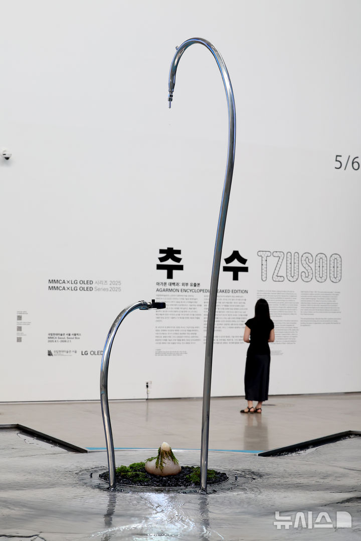 [서울=뉴시스] 박진희 기자 = 국립현대미술관은 LG전자와 파트너십을 맺고, 올해 처음 선보이는 MMCA·LG OLED 시리즈 2025-추수 '아가몬 대백과: 외부 유출본' 기자간담회를 31일 서울 종로구 국립현대미술관 서울에서 갖고 작품을 선보이고 있다. 추수(TZUSOO) 작가는 디지털 네이티브 세대로서 사이버 생태계와 현실이 교차하는 새로운 정체성을 탐구하며, 영상, 설치, 조각, 회화 등 다양한 매체를 넘나들며 작업한다. 2025.07.31. pak7130@newsis.com