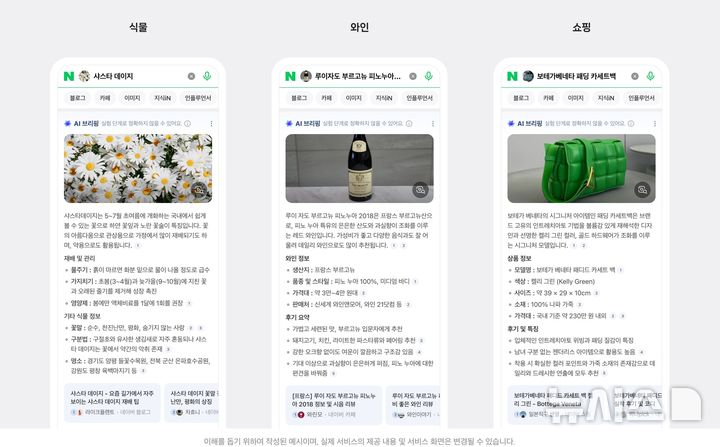 [서울=뉴시스] 네이버는 스마트렌즈에 이미지와 텍스트를 함께 이해하는 AI를 적용한 '렌즈 x AI 브리핑'을 지난달 31일 출시했다고 1일 밝혔다. 2025.08.01. (사진=네이버 제공)
