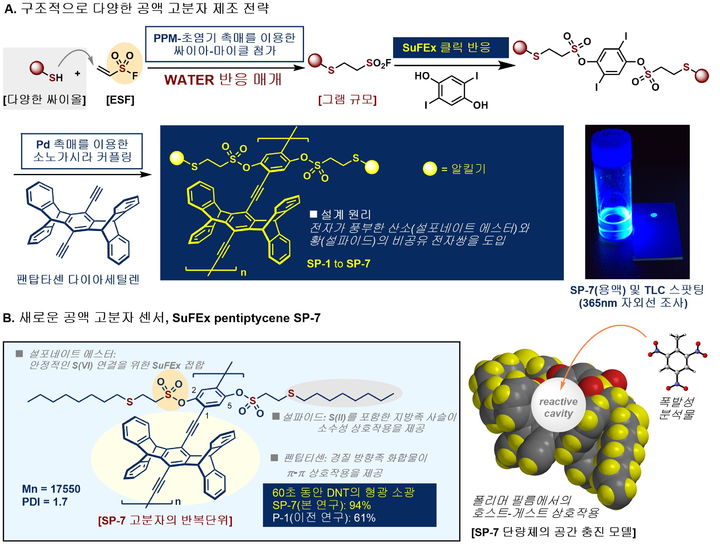 [서울=뉴시스] 서펙스(SuFEx) 반응을 활용한 형광 전도성 고분자(SP 시리즈)의 개발 모식도 및 이를 통한 TNT·DNT와 같은 폭발물을 감지하기 위한 화학센서 작동 메커니즘 개략도. (사진=성균관대 제공) 2025.08.01. photo@newsis.com *재판매 및 DB 금지