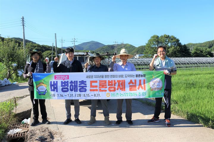 [울산=뉴시스] 울산 웅촌농협(조합장 송상수)은 울주군 웅촌면 일대 벼 재배 농가를 대상으로 벼 병해충 드론방제를 하고 있다고 1일 밝혔다. (사진= 웅촌농협 제공) 2025.08.01.photo@newsis.com *재판매 및 DB 금지