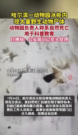 [뉴시스] 중국 헤이롱장성 하얼빈 동물원의 냉동고에서 발견된 동물 사체. (영상=종람신문) *재판매 및 DB 금지