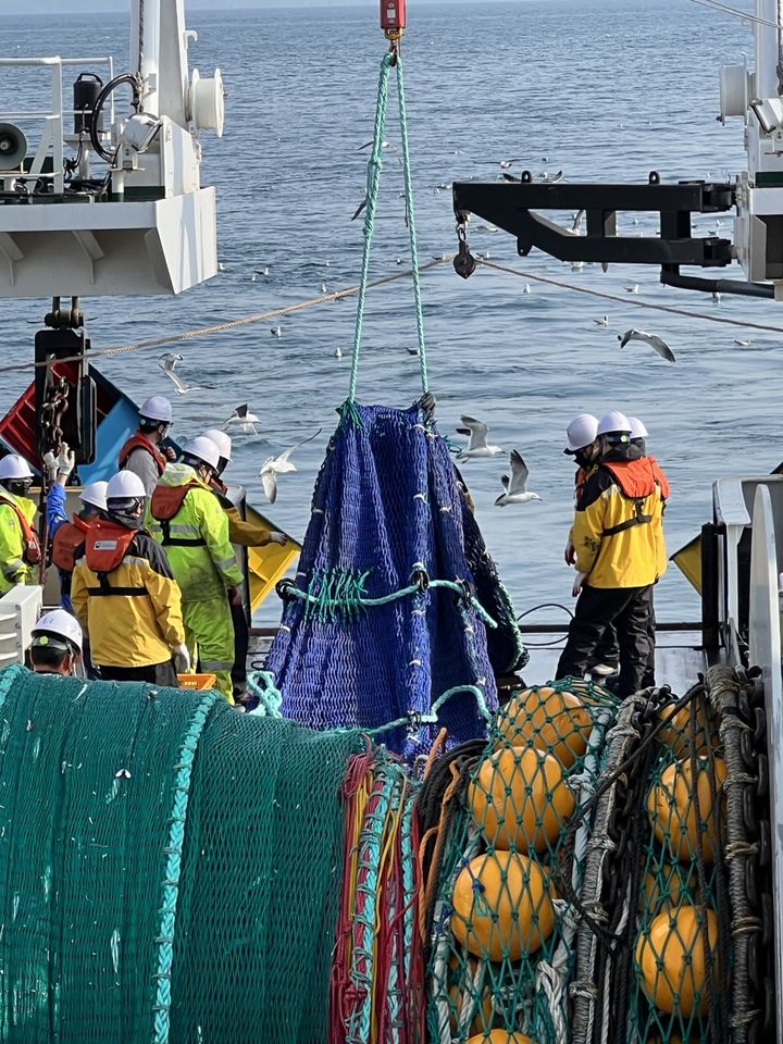 [부산=뉴시스] 저층 트롤 조사 장면 (사진=국립수산과학원 제공) 2025.08.02. photo@newsis.com *재판매 및 DB 금지