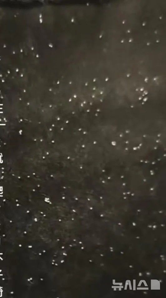 [뉴시스] 한 누리꾼이 촬영해 올린 영상. 극장 좌석 등받이에 하얀 벌레 알로 보이는 물질이 수북이 붙어 있다. (7월 31일, 홍성신문) 