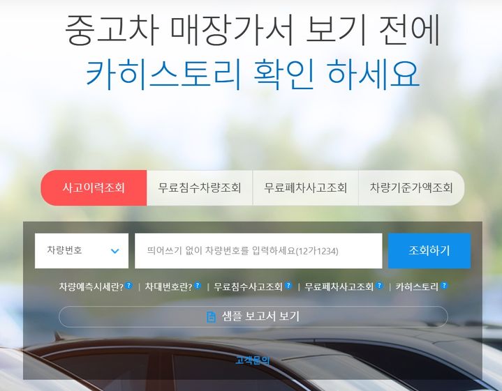 [서울=뉴시스] 보험개발원 카히스토리 화면. (사진=보험개발원 제공) 2025.08.03. photo@newsis.com *재판매 및 DB 금지