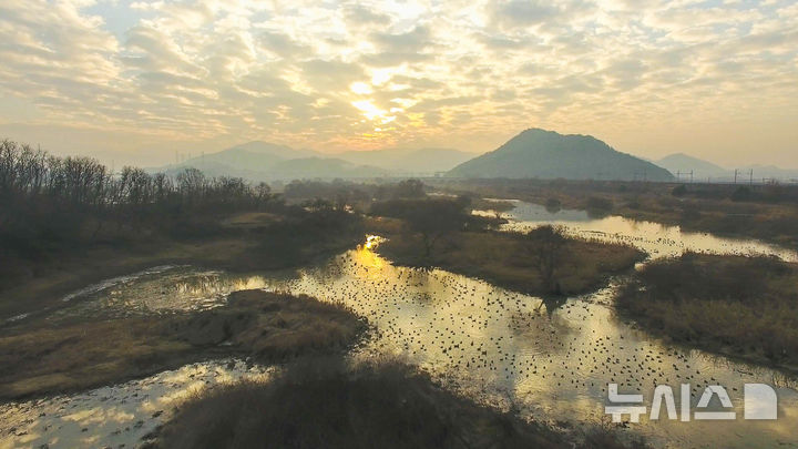 국립공원 습지 9곳 멸종위기 Ⅰ급 수달 Ⅱ급 삵·담비 등 9종 확인